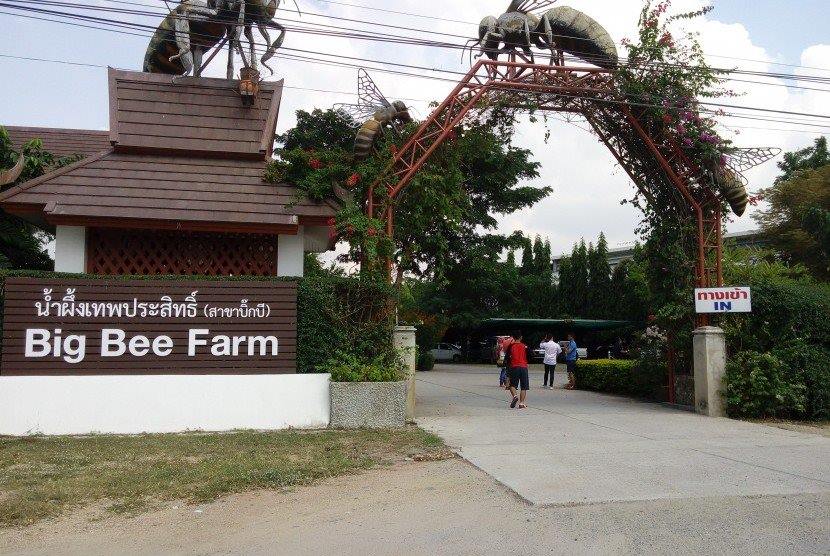 Nông trại ong Big Bee Farm - điểm tham quan thú vị tại Thái Lan