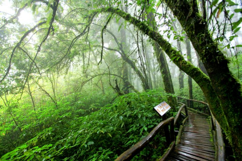 Cong vien Quoc gia Doi Inthanon 9