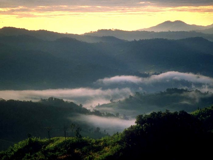 Dong Phaya Yen Khao Yai 1
