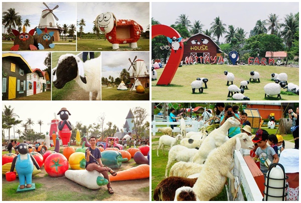 Pattaya Sheep Farm 3
