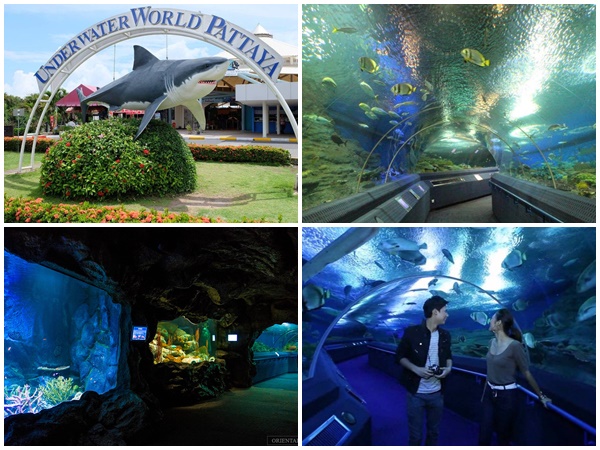 Underwater World Pattaya 1