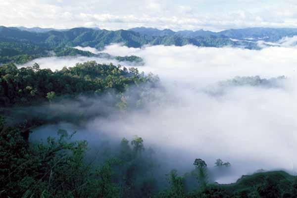 9 vuon quoc gia noi tieng nhat o Thai Lan 8