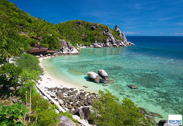 freedom beach 3