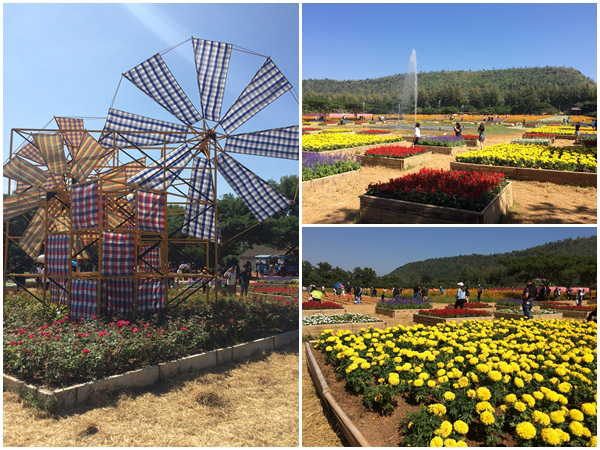 jim thompson farm 5