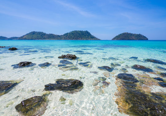 quan dao trang 6