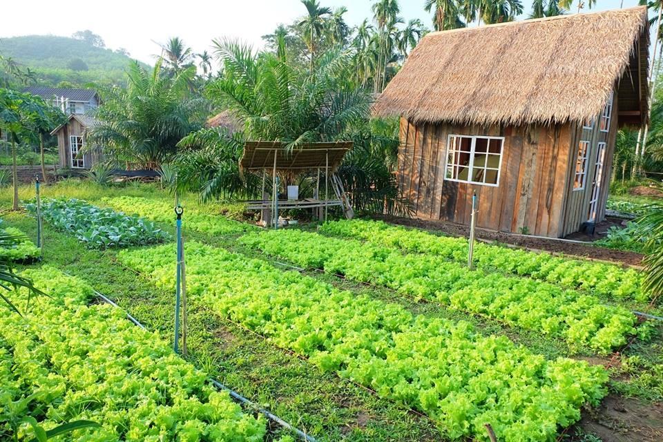 resort baan rai i arun 2