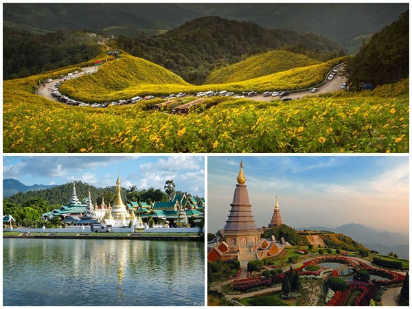 su khac nhau giua mien bac va mien nam 7