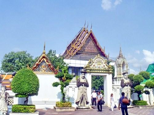 tranh-lua-dao